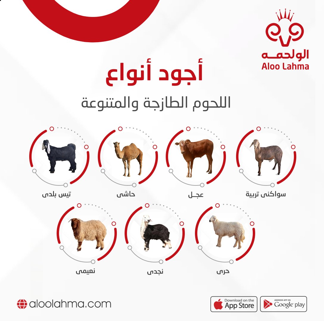 aloolahmasa's tweet photo. عندنا خيارات كثييييرة من اللحوم الطازجة لتلبي جميع احتياجاتك🐪🐑🐏🐐
طب وتخير😋
حمل التطبيق واطلب، وابشر باللي يرضيك📱 https://t.co/uZC9ykHBK4
#لحم #نعيمي #بلدي #سواكني #لباني #عجل #حاشي #نجدي #اضحية #الو_لحمه #خروف #لحوم #غنم https://t.co/Th0RVDT0Sk
