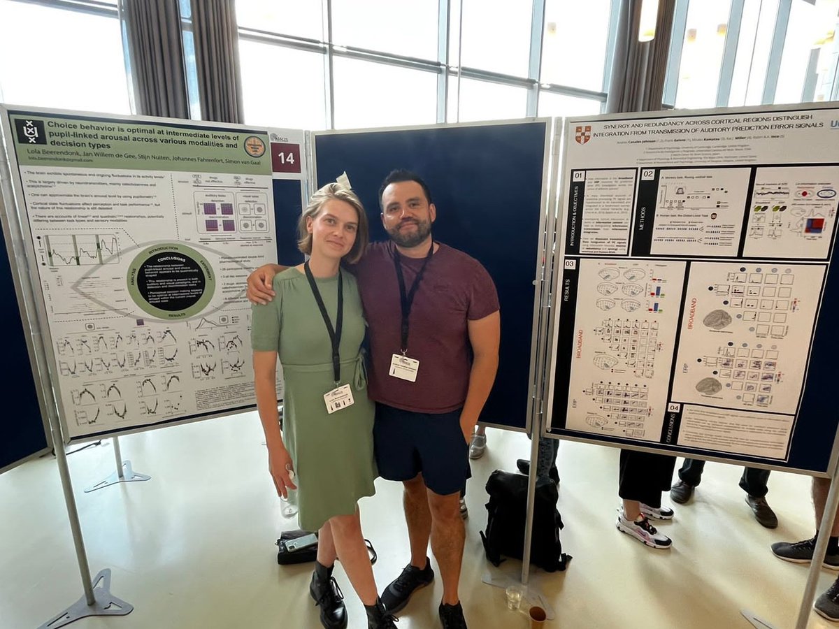 Andres Canales-Johnson tweet media