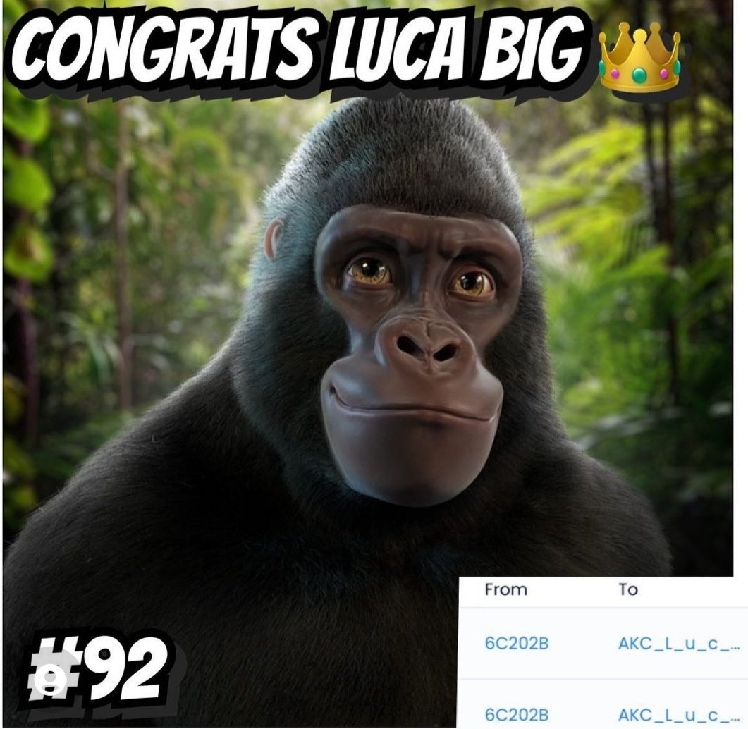 AKC_OG_Kings's tweet photo. 🚨Congratulation to @Lucy309_OGKings who won the auction off this #LegendaryNft! 🎉.❗

➡️Funds off the auction will be sended to the #MountainGorillaFunds.

➡️Look at @AKC_OG_Kings
For our #NFTGiveaways⬅️
#GorillaFunds #KongNft #WWF
#DianFossey #NationalGeographic  #BlueChipNFT https://t.co/Xuy6MdduTk