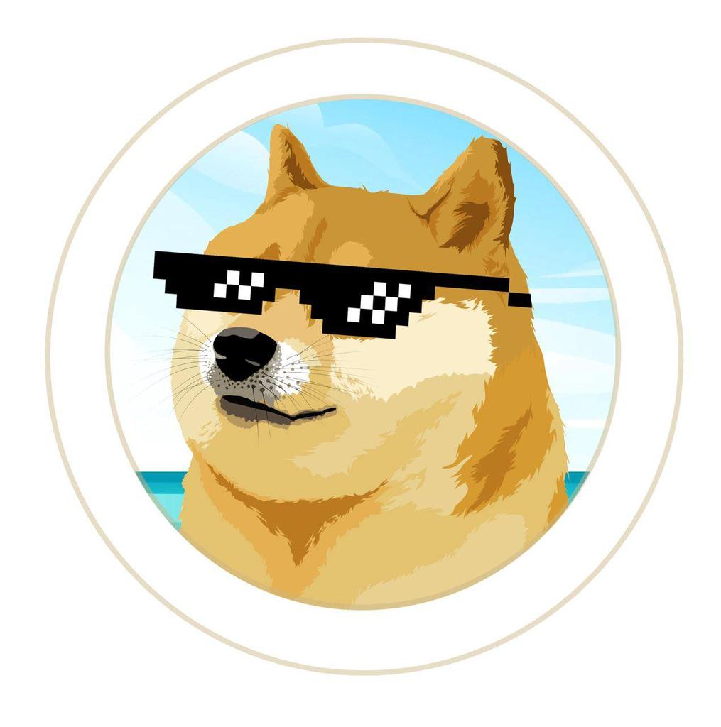 Cheems_CINU's tweet photo. @Mark_Crypto_off @DogeResort Bullish vacay vibes 🌴 https://t.co/9sOVpcvSDz