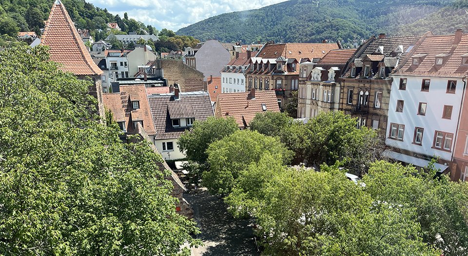 stanfordstomata's tweet photo. Had an inspiring time at the #sfb873 symposium @COSHeidelberg . It was a powerful demonstration of how discussing across disciplines and organisms enriches the science. Thanks to @meristemania for leading! https://t.co/fG8MEz4jCc