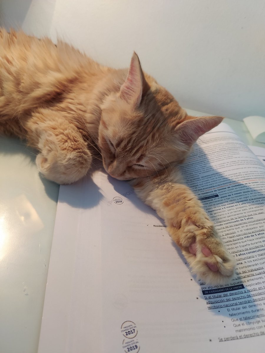 Me niego a pasar de página