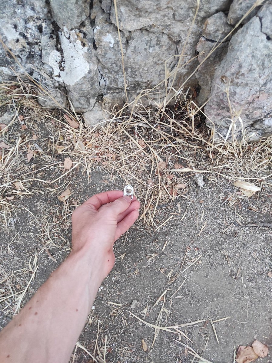 bismuth_404's tweet image. #Flowcarbon