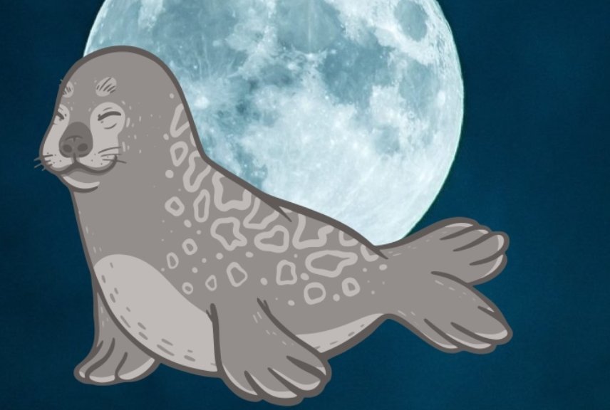 smithyWhale ✖️ tweet media