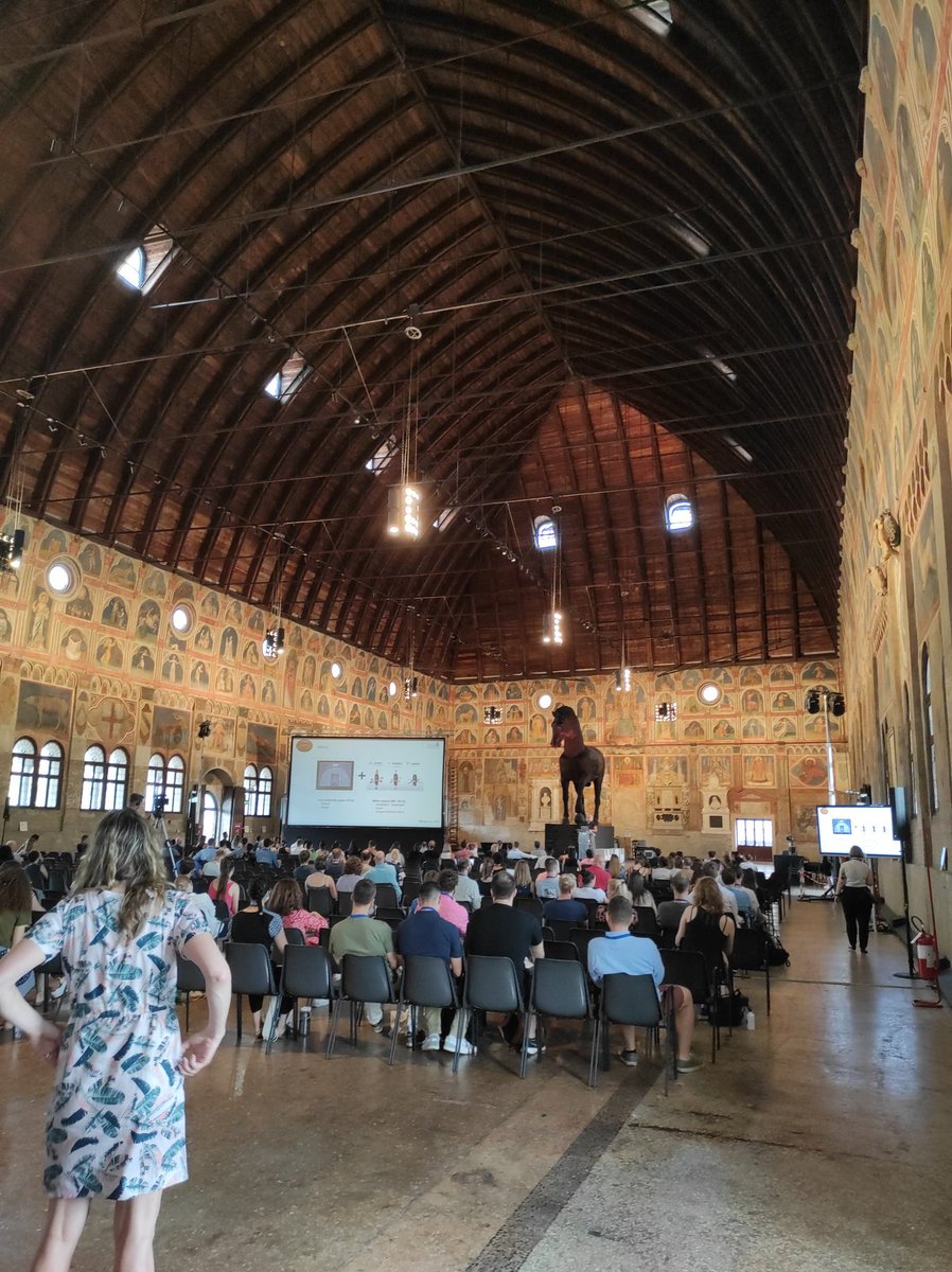 FranDimundo tweet media