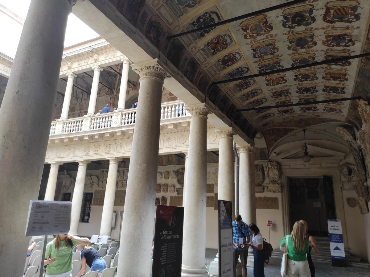 FranDimundo tweet media