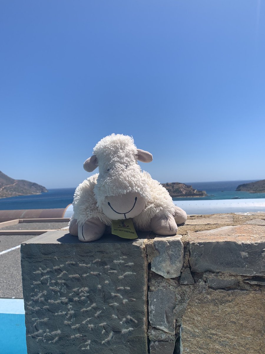 EstherBurrell's tweet photo. Minty’s Greek adventure! Hotel hopping from his roots  @SouthLodgeHotel to @MarriottBonvoy #bluepalacehotel #elounda #crete #luxurytravel #greece #hotellife https://t.co/bJPx2nghgE