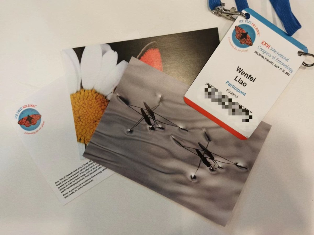 Wenfei Liao tweet media