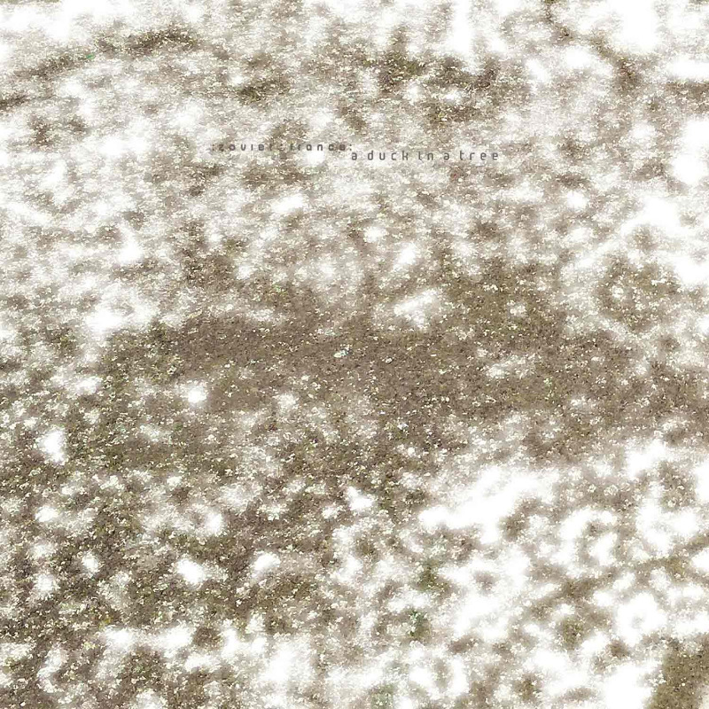 Starting in five minutes on <a href="/cjmpfm/">CJMP 90.1FM</a> 90.1 FM in Powell River, BC and online: the latest edition of A Duck in a Tree, the :zoviet*france: radio show | cjmp.ca/listen-live