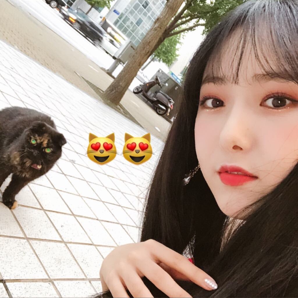 신비의 시간은 거꾸로 간다...