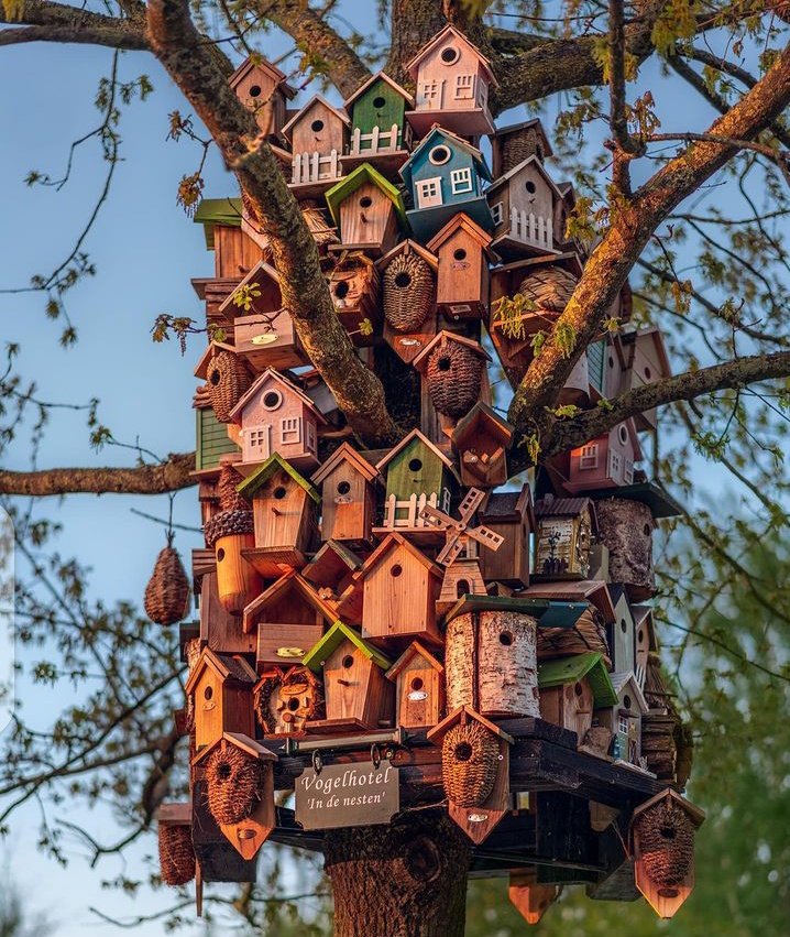 fiz_iiz's tweet photo. Bird Hotel 🏘️❤️🐤 https://t.co/qMAXxv49cR