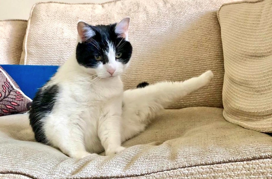 m_pkent's tweet image. I do #pilates!! 😹💖 #counterbalanced #yoga #Physics