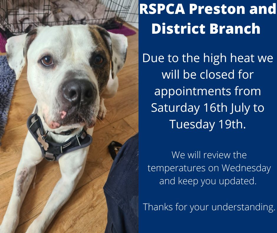 WE ARE CLOSED FOR APPOINTMENTS FROM SATURDAY 16TH - TUESDAY 19TH JULY

Due to the extreme temperatures  over the next few days we will be closed for appointments as it will be too hot to take our dogs out for viewings or any of our animals to be travelling. 

Thank you.