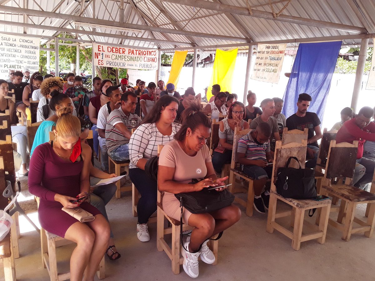 JorgeWilsy's tweet photo. Se realiza el Activo Provincial de Jóvenes Campesinos de la Provincia La Habana. 
#AnapCuba 
#VamosConTodo 
@RafaelAnap @torres_iribar @VinajeraYesenia @IdalmisAlmague2 @AnaRGrandaE https://t.co/aDkmwbjAyg