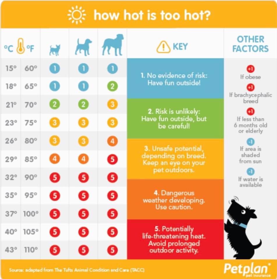 Stephen O'Shea tweet media