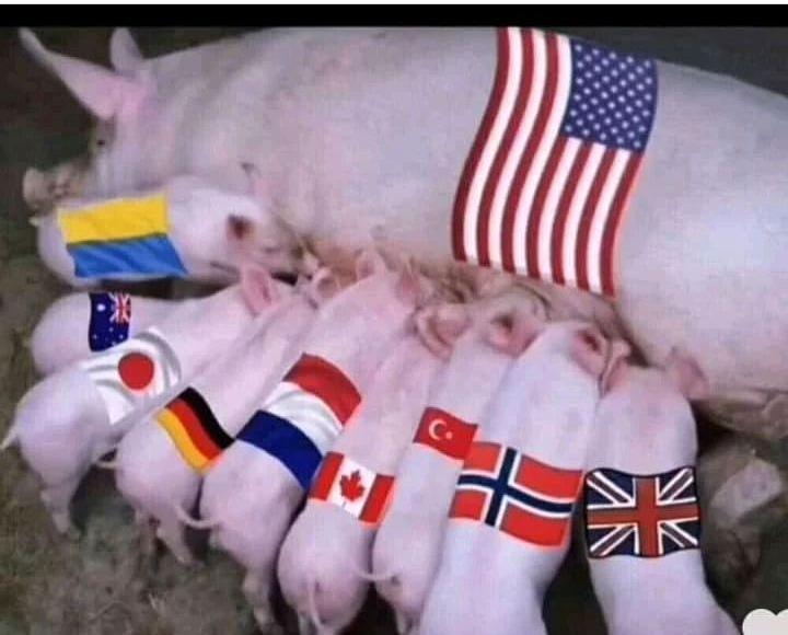 facebook.com/ActualidadRT/v… 

Cuando la verdad se imponen y existen ciudadanos en el mundo que te dicen a la cara las cosas que no quieres escuchar. #NoALaGuerra no al #Nazifascismo #Injerencista #Imperial del gobierno de los #EEUU y sus lacayos de la #UE