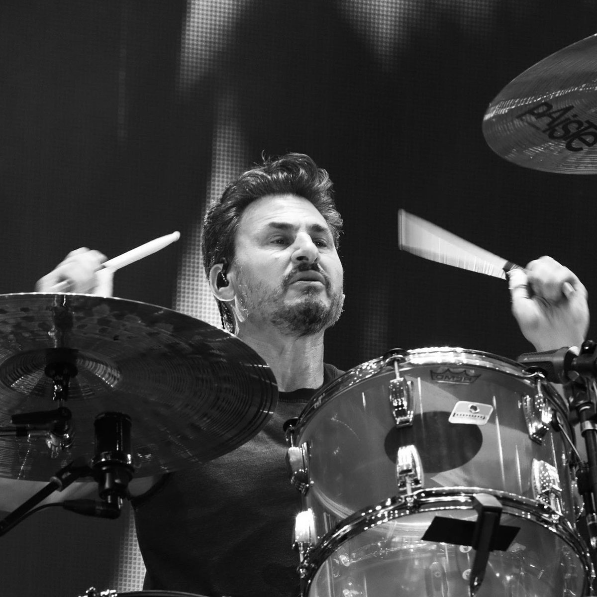 shawn scallen Ⓥ tweet media