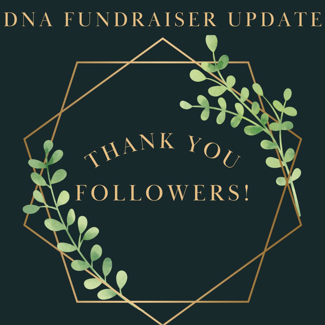 NGSingingDogCS's tweet photo. Our DNA fundraiser has ended! Your support has allowed us to move to the next step. New Guinea Village Dog samples are now on their way to Dr. Cairns for sampling with her dingo study. We will keep you posted!
#newguineasingingdog #newguinea #dingo #singer #research #NGSDCS https://t.co/bprPxROyK6