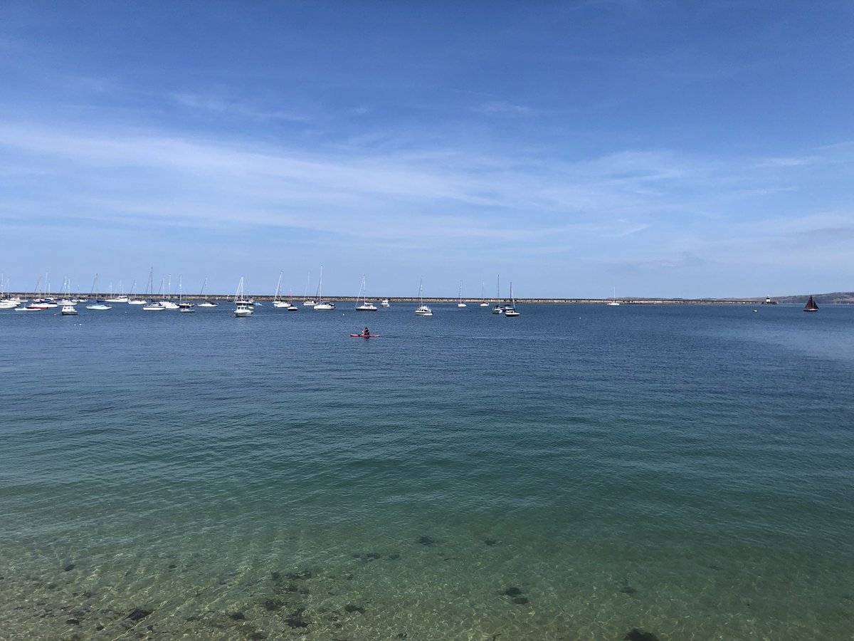 Andy Lee (He/Him) tweet media