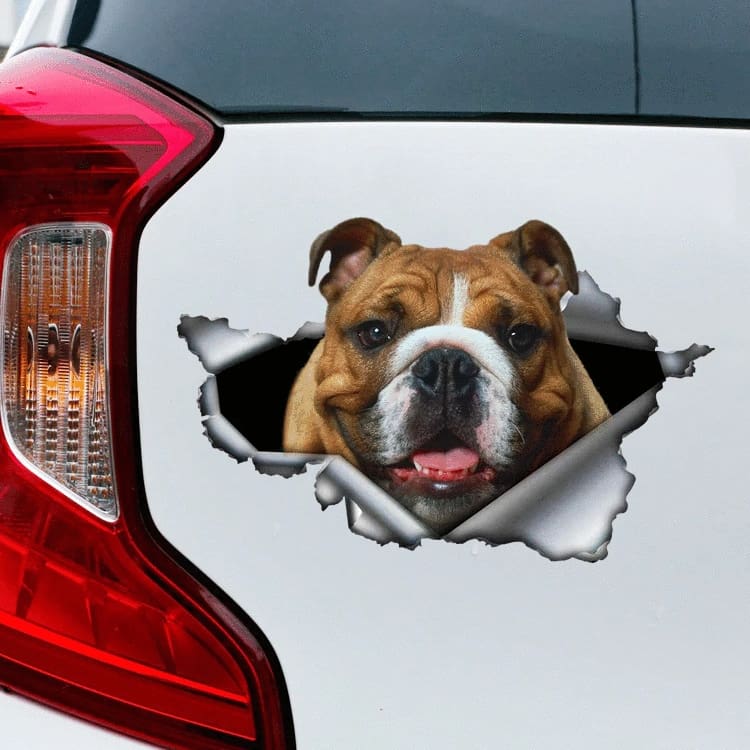 English84773387's tweet photo. Who need sticker?
Comment below !!!
Order Yours Here :https://t.co/afhnLXBlA9
#sticker #bulldogsticker #bulldog #bulldogsofinstagram #bulldogs #bulldogpuppy #bulldogfrnces #bulldogingles #frenchbulldog #bulldoglove #bulldoglife #bulldogsofig https://t.co/8RMFH1ntRC