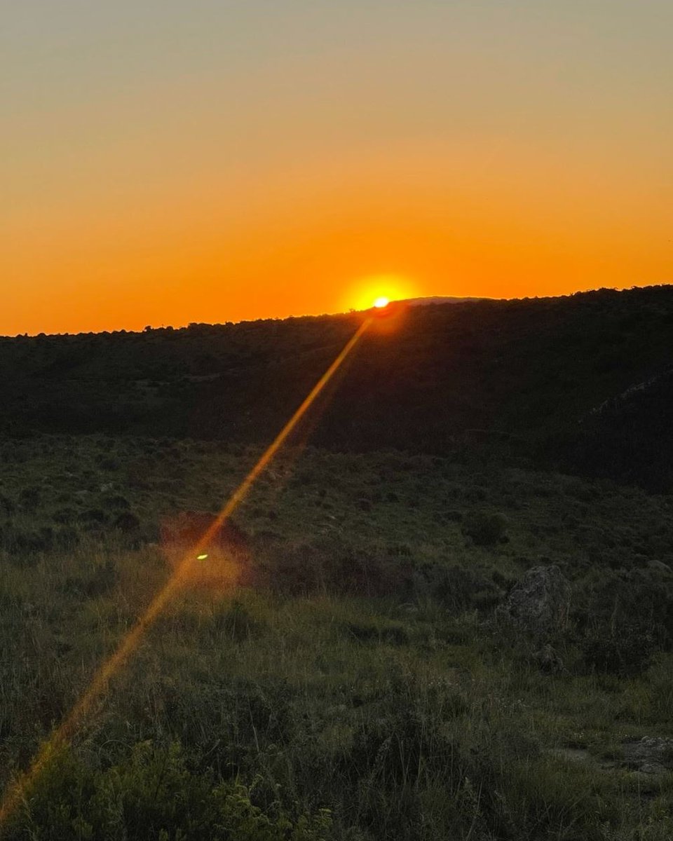 Sunsets don't get much better than this...🎴🌄

#Africantravel #Virtuosotravel #luxurytraveladvisor #WeKnowAfrica