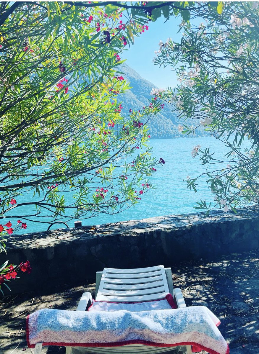 EMG77's tweet photo. Enjoying the last day of my 4-day-vacation with a good book in the shadow and a nice view 🥰
Already went for a swim, did some garden work &amp; had some kumquats picked from the tree in our garden… love it. 

#enjoylife #shortvacation #lovelife #holidayswithmydog #nostress https://t.co/QmsRZSu32H