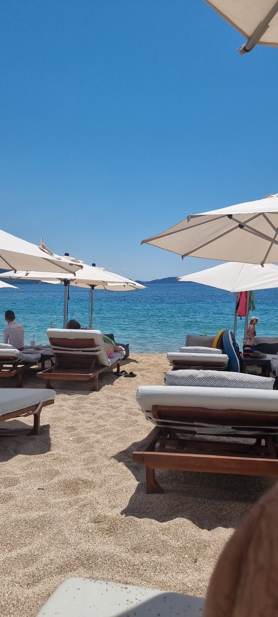 Skiptron tweet media