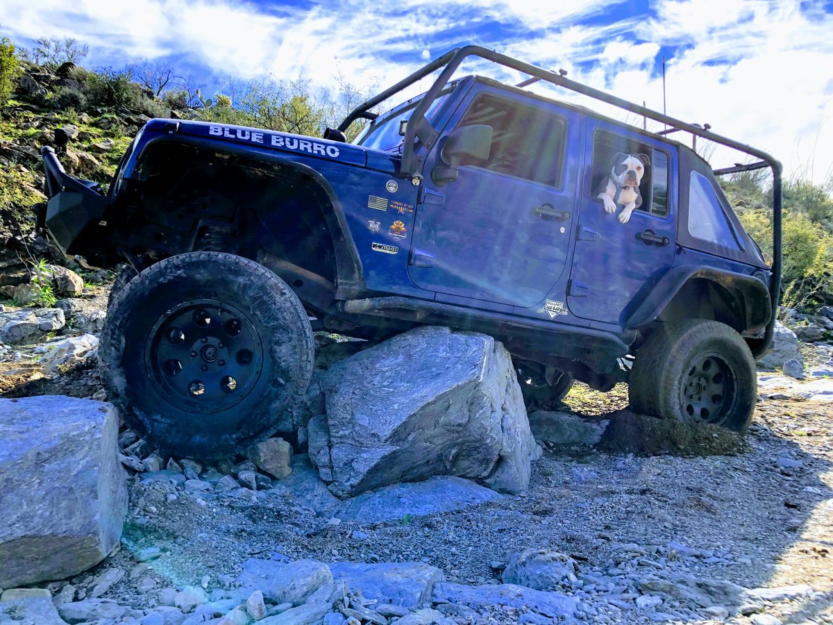 Desertjeeprat's tweet photo. Sometimes you get over the rock. Sometimes the rock gets over/under you. Time to pull rope again!
#turtled #imstuck #holdmybeer #oops https://t.co/knJd1QF46V