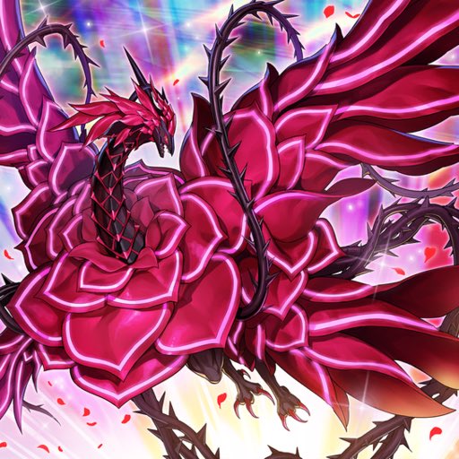 Majestic Rose Dragon