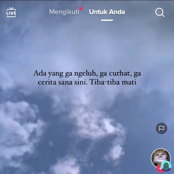 tanyarl li ma ka ta