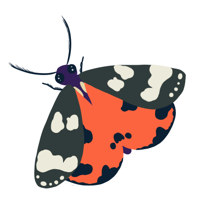 ITWWO's tweet photo. This one is a Scarlet Tiger (Callimorpha dominula)
They're a day flying moth that lives in fens and marshes and can be found in most of the UK.
You can buy a sticker right here and help me pay my rent: https://t.co/r3wXQWP1CN
#Mothday #Everydayismothday #Scarlettiger #Digitalart https://t.co/tMgFikWhVY