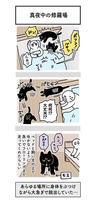 飼い主にゲロをぶちまけないよう頑張ってくれたらしいねこの絵日記です(ありがたいけど無茶はするな…) #ろんの絵日記 