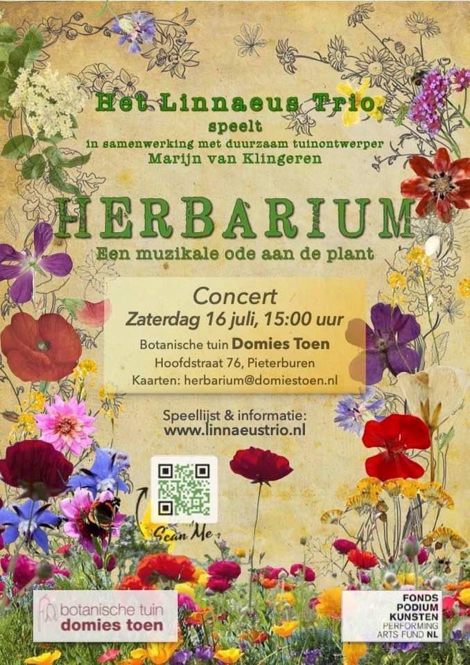 Eerder zag ik het Linnaeustrio in <a href="/HortusLeiden/">Hortus Leiden</a> tijdens <a href="/Botanisch/">Botanischetuinen</a> vanmiddag in het hoge noorden <a href="/DomiesToen/">domiestoen</a> Ik heb er zin in!