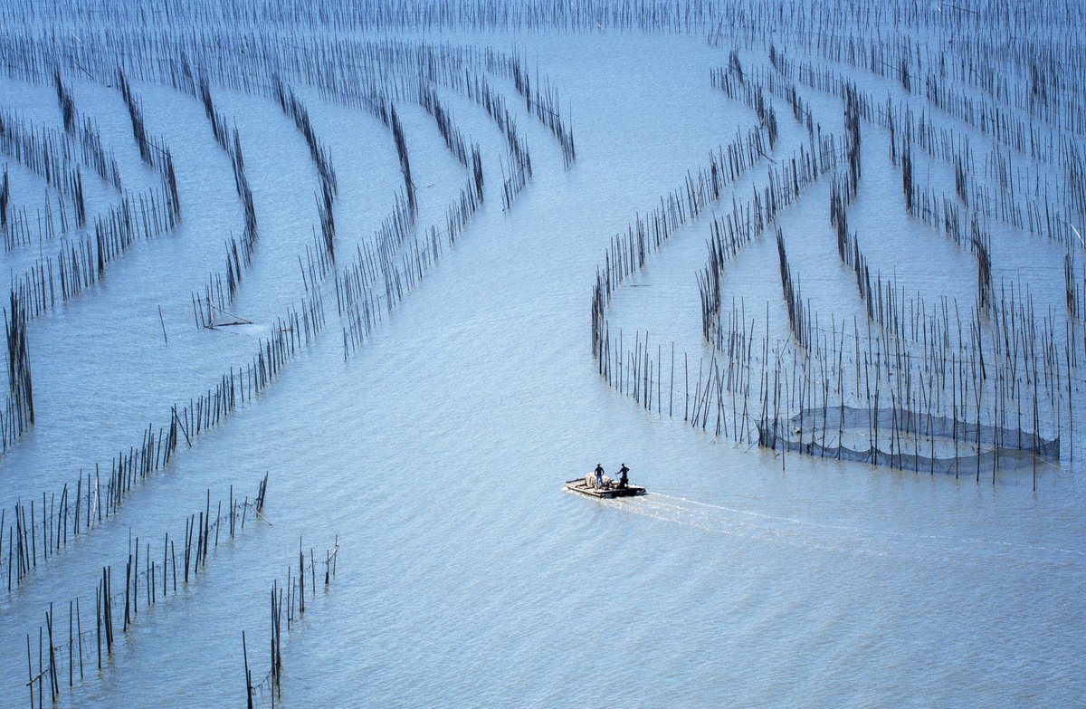 late gm dear fam, 
When you have symmetry, an endless blue and minimalism, it becomes much more than a fisherman's photo and ''BLUE ROAD'' on <a href="/opensea/">OpenSea</a>
 love this blue😍
 only 5 left,
5/14+1 editions
0,03 eth.
opensea.io/assets/ethereu…