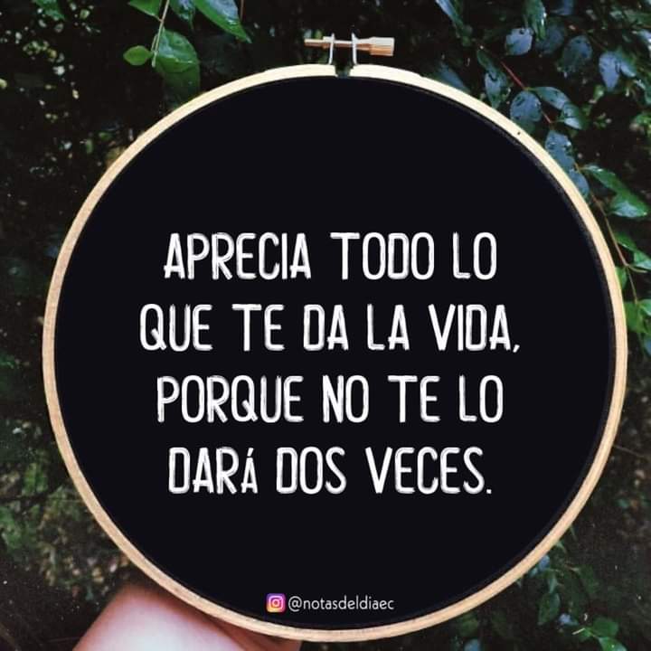 EuniceVillegas's tweet photo. Exacto vida nada más una https://t.co/avqFSjm1Yl