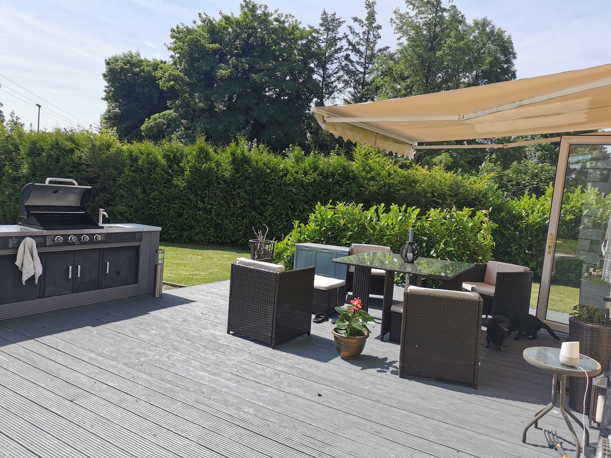 BarbaraMSmyth's tweet image. It's days like these, we finally get to enjoy our #CovidProjects. #CovidGarden