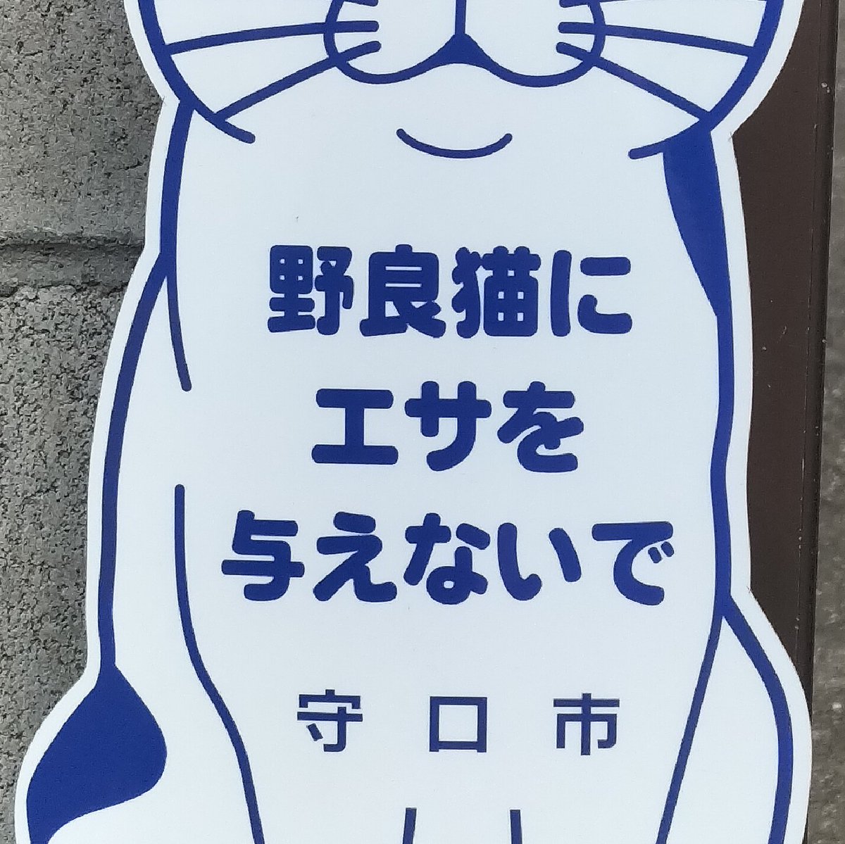 Cherryb3939's tweet photo. 動物好きからの寄付金で賄われている、#どうぶつ基金 の行政枠を利用し、所有者不明猫の不妊手術は推奨。しかし、所有者不明猫の存在は認めず、外で暮らさざるを得ない猫達や関わる人達を苦しめる #守口市 環境対策課。

札は給餌を困難にし、このままでは野良猫が餓死してしまいます💦

#TNR https://t.co/cWH781KTe8