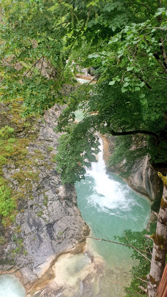 salihasavsar's tweet photo. #Tünaydınlar, Şifalı sularla gelen bir tutam güzellik❤️#MaviGöl #Giresun   (Ah Giresun çok güzelsin ama #Hesler senin kabusun olmuş umarım,umarım o coşkulu sularına yeniden kavuşursun.) https://t.co/ytVDOcj6uc