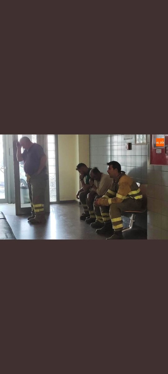 BBFFLuchaCyl's tweet photo. Esta es la realidad de los #IIFF en #CyL #IFNavafria
-Personal deshidratado
-Intoxicado 
-Abandonado por @jcyl @naturalezacyl 
-Maltratado
Estos señores que hoy están ingresados el 30 de septiembre estarán en el PARO!
#INFOCAL DIGNO YA!
#QUIÑONESDIMISION https://t.co/Pn08JS3z0Q
