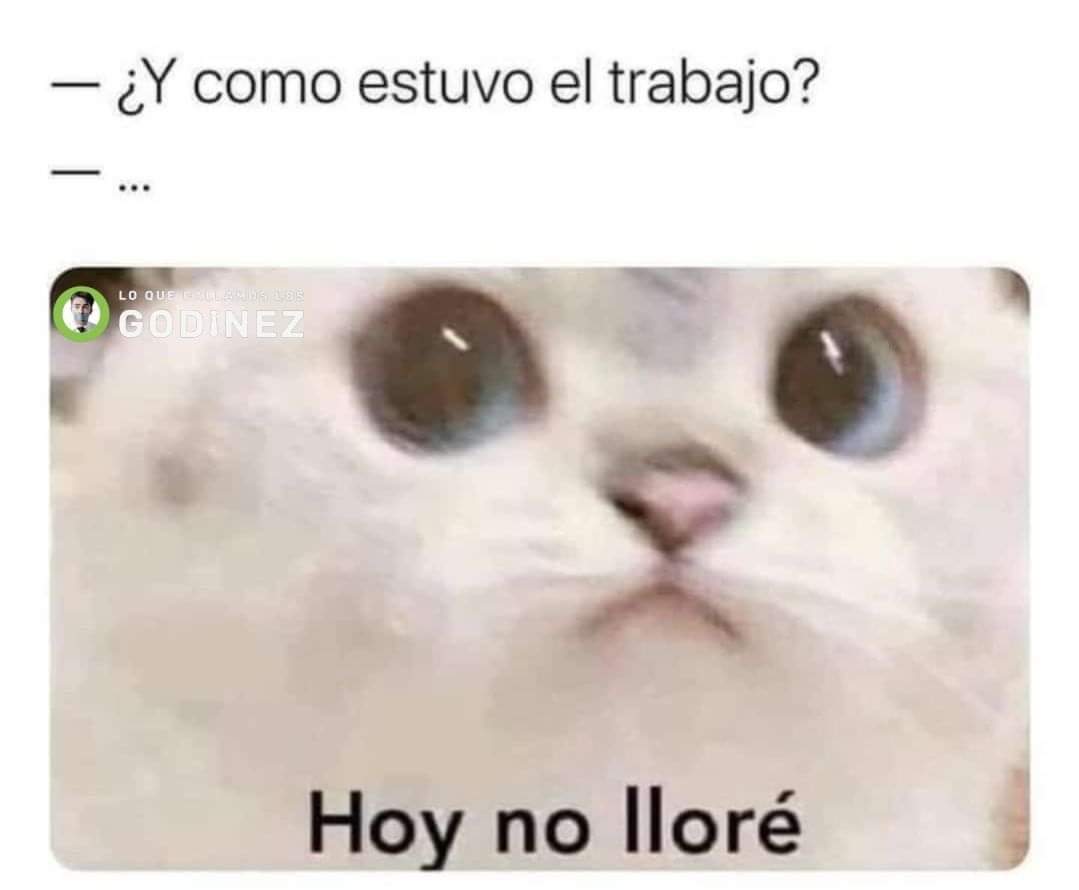 En plena ola de calor y con muchos incendios,  algunos importantes como #IFMijas, de nuevo se cae la "magnífica" aplicación informática y en las salas 112 un día más pasamos a trabajar con boli y papel ¿en serio <a href="/JuanMa_Moreno/">Juanma Moreno</a> <a href="/antoniosanz/">Antonio Sanz Cabello</a> <a href="/InteriorJunta/">Consejería de la Presidencia y Emergencias</a>? #lopubliconoseprivatiza