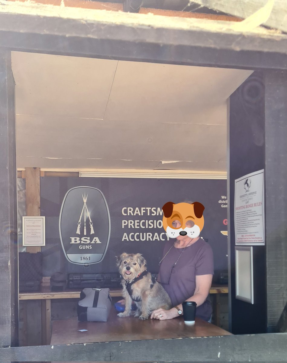 twiglet_tweets's tweet photo. Spotting for da old man, come on youz can da target dad I can see it why can't you? #leftabit #upabit https://t.co/fiVMlW0bNI