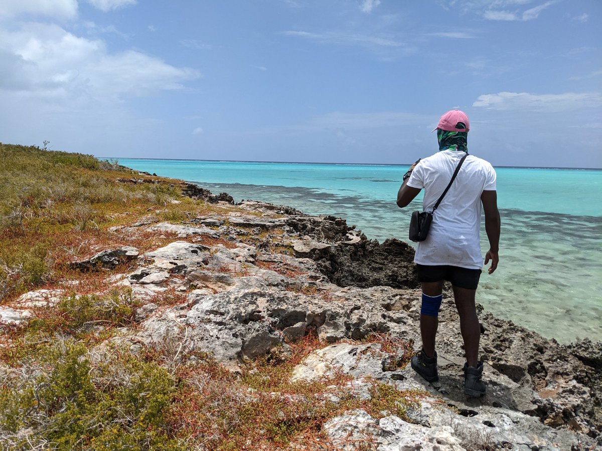 Neil Golding tweet media