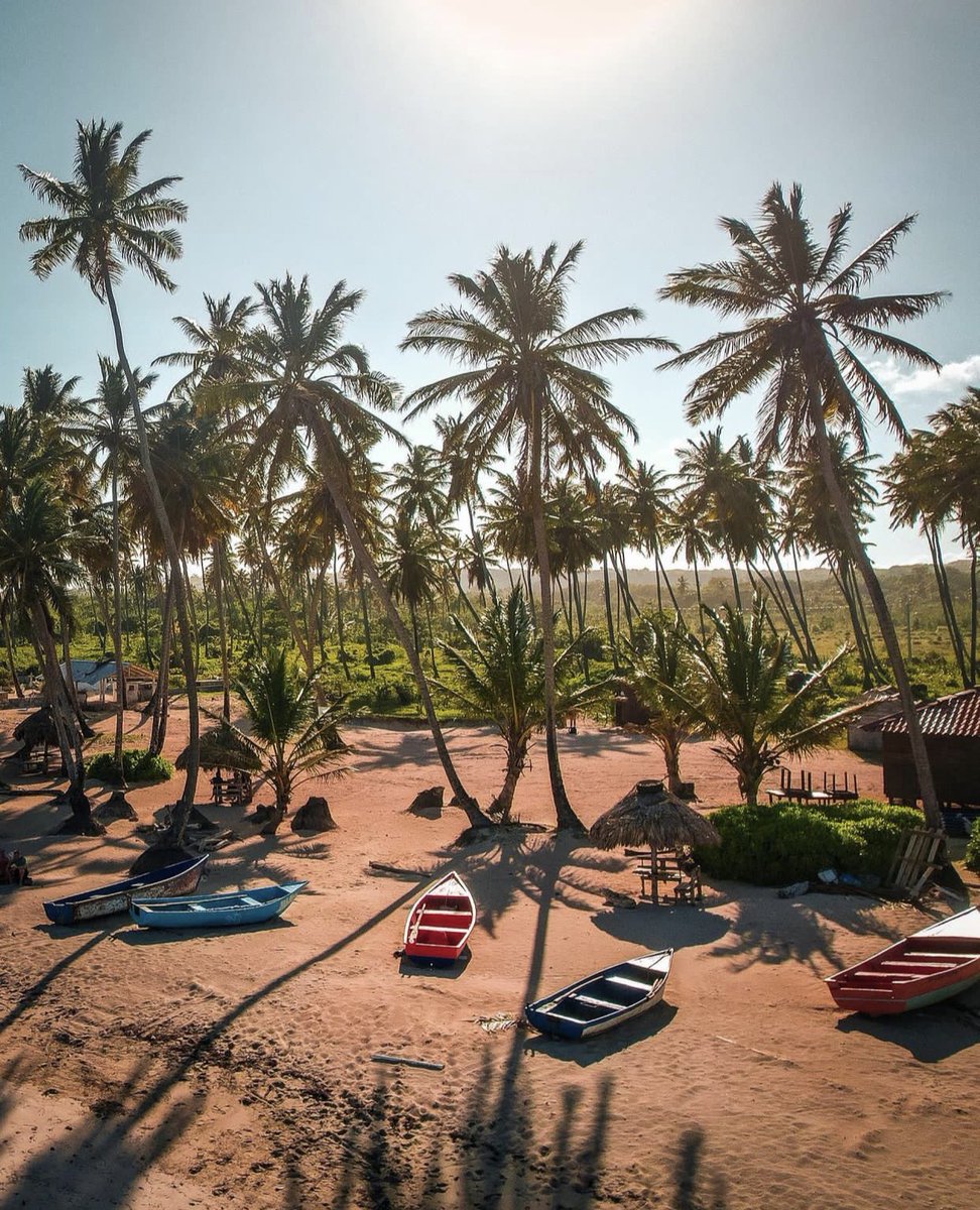 ExploremosRD's tweet photo. ¡República Dominicana 🇩🇴 única e incomparable! 

📍María Trinidad Sánchez 
📸 NiceIsland

#ExploremosRD https://t.co/pWscVx1agw