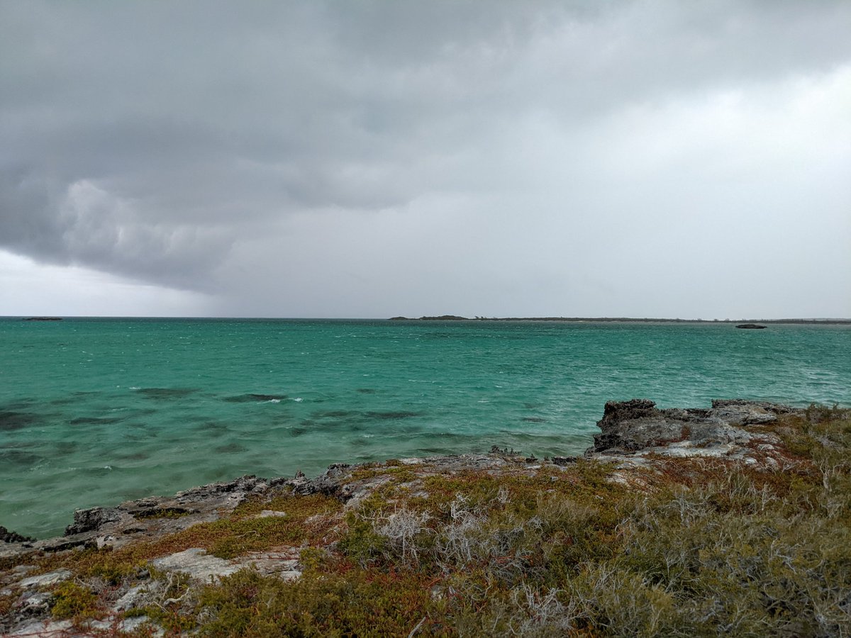 Neil Golding tweet media