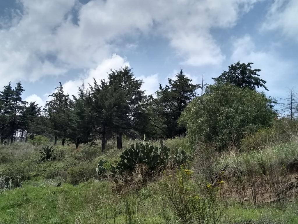 Dan@_iel_024 (@daniel02420) on Twitter photo 