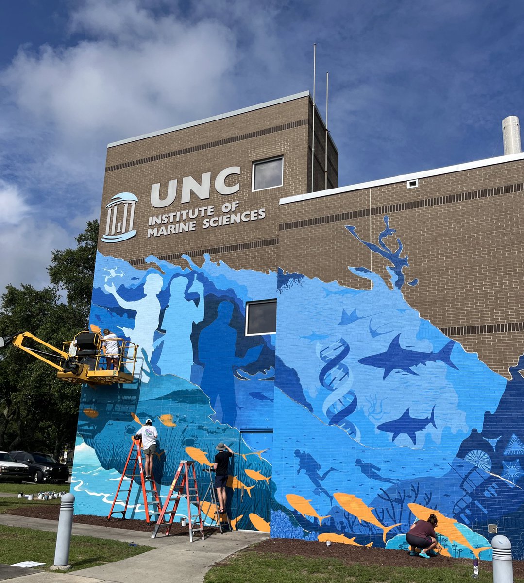 UNCims's tweet photo. A little rain has slowed progress, but here’s the lovely surprise that the end of day seven brought… https://t.co/uD4WQ1Rimb