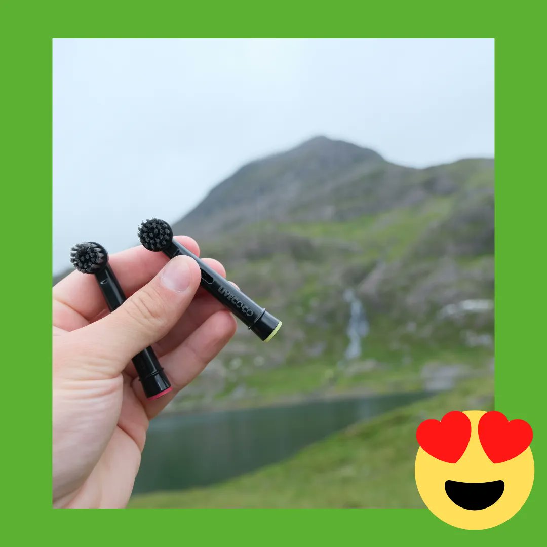 Such a beautiful view! 🏔️