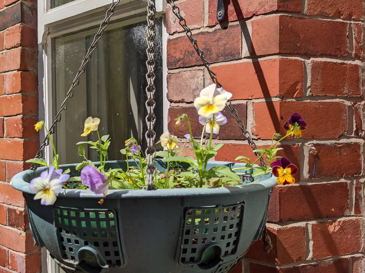 Judith Berry tweet media