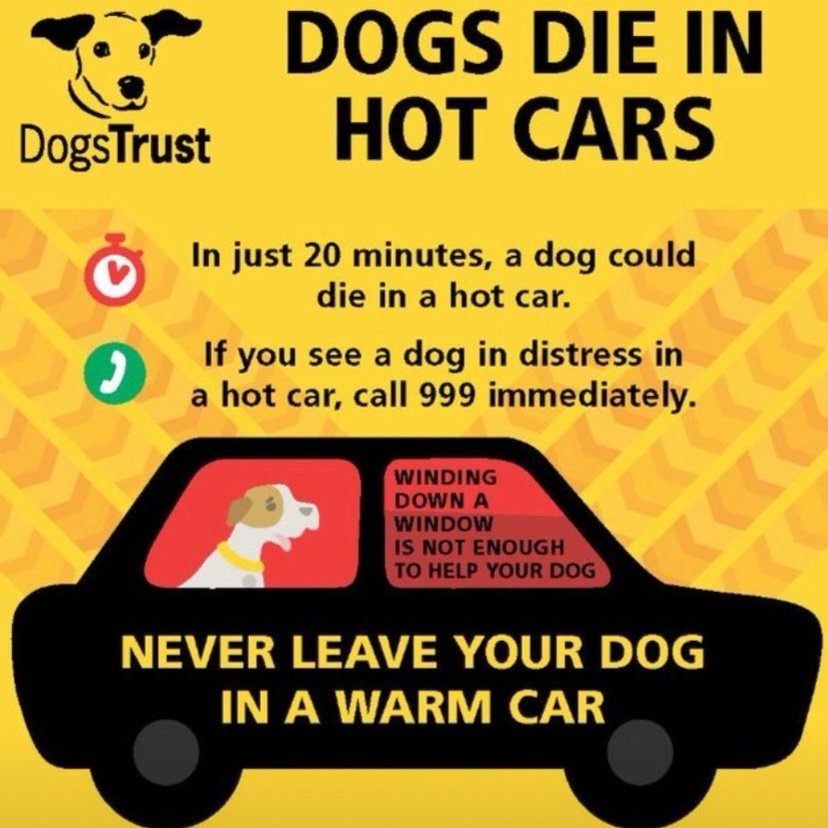 Don't leave Dogs in cars reminder ahead of of the hot weather!!! 🐕🚗 ☀️