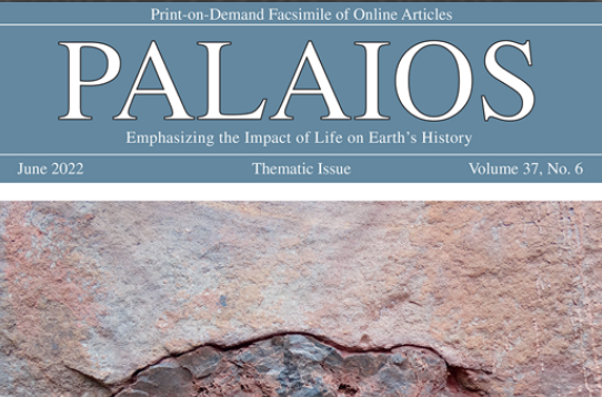 GeoScienceWorld on Twitter: 